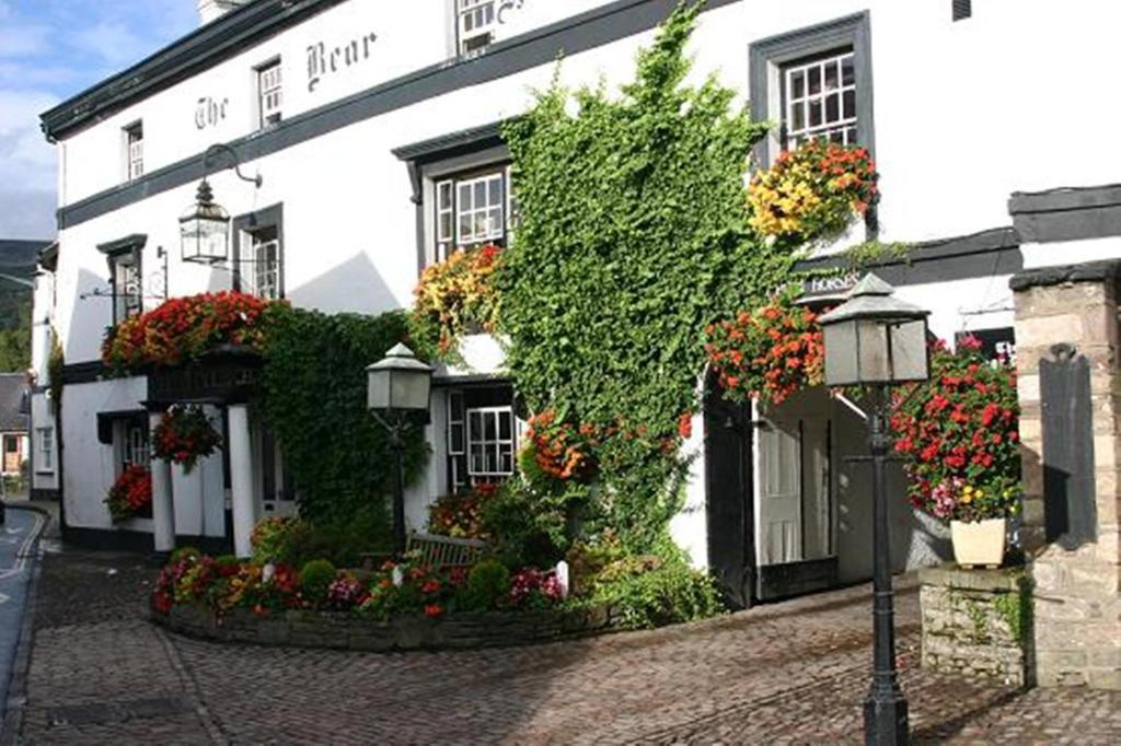 Bear Hotel 3*